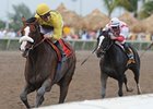 Pool 3 of Derby Future Wager Starts March 30 Pool 3 of Derby Future Wager Starts March 30