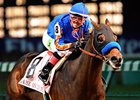 Game on Dude makes his first start since finishing second in the Breeders' Cup Classic.<br><a target="blank" href="http://www.bloodhorse.com/horse-racing/photo-store?ref=http%3A%2F%2Fpictopia.com%2Fperl%2Fgal%3Fprovider_id%3D368%26ptp_photo_id%3D97299855%26ref%3Dstory">Order This Photo</a>