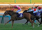 Asia Express
<br><a target="blank" href="http://photos.bloodhorse.com/AtTheRaces-1/at-the-races-2013/27257665_QgCqdh#!i=2970337691&k=dkCwM39">Order This Photo</a>