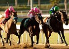 Vision in Gold Shines in Santa Maria Win Vision in Gold Shines in Santa Maria Win