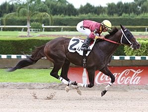 Big Drama Wins Stakes Tuneup at Calder Big Drama Wins Stakes Tuneup at Calder
