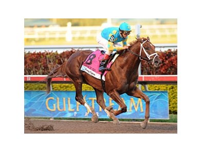 Fountain of Youth winner Eskendereya<br><a target="blank" href="http://www.bloodhorse.com/horse-racing/photo-store?ref=http%3A%2F%2Fpictopia.com%2Fperl%2Fgal%3Fprovider_id%3D368%26ptp_photo_id%3D8802804%26ref%3Dstory">Order This Photo</a>