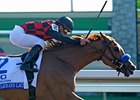 Lilacs and Lace in the Ashland Stakes.
