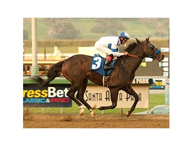 Twirling Candy is all alone at the finish of the Strub.<br><a target="blank" href="http://www.bloodhorse.com/horse-racing/photo-store?ref=http%3A%2F%2Fpictopia.com%2Fperl%2Fgal%3Fprovider_id%3D368%26ptp_photo_id%3D9395153%26ref%3Dstory">Order This Photo</a>