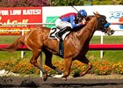 Steady Blueskiesnrainbows Wires Swaps Stakes Steady Blueskiesnrainbows Wires Swaps Stakes