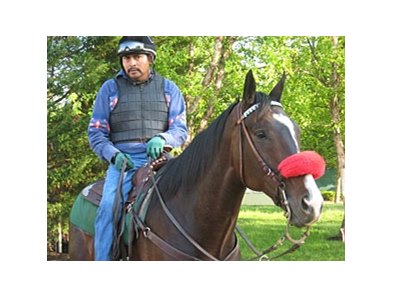 Lava Man