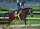 Haskin's Derby Report: Repole's Survivors Haskin's Derby Report: Repole's Survivors