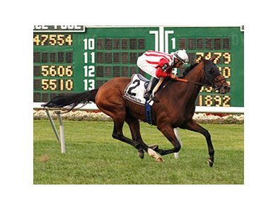 Yummy With Butter wins the Cliff Hanger Stakes.