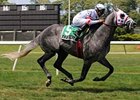 2008 Poker winner Kip Deville is back to try again in 2009.<br><a target="blank" href="http://www.bloodhorse.com/horse-racing/photo-store?ref=http%3A%2F%2Fpictopia.com%2Fperl%2Fgal%3Fprovider_id%3D368%26ptp_photo_id%3D5116175%26ref%3Dstory">Order This Photo</a>