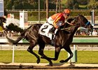 Shakin It Up wins the San Vicente Stakes.