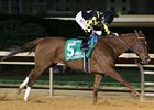Dance to Bristol rolls to victory in the Sugar Maple Stakes.