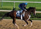 Cool Coal Man gallops Friday morning.