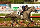 Grazen drew post position 3 for the California Cup Classic.<br><a target="blank" href="http://www.bloodhorse.com/horse-racing/photo-store?ref=http%3A%2F%2Fpictopia.com%2Fperl%2Fgal%3Fprovider_id%3D368%26ptp_photo_id%3D8257605%26ref%3Dstory">Order This Photo</a>