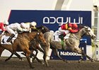 Captain Obvious won a six-furlong allowance race in his Meydan debut Jan 20.
