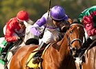 Quiet Oasis won the Wilshire Handicap April 29 by a half-length.