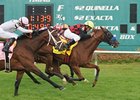 Swift Warrior fights for the win in the Tampa Bay Stakes.