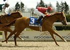 Patient Verdana Bold Wins Star Shoot S. Patient Verdana Bold Wins Star Shoot S.