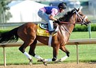 Optimizer May Carry Calumet Silks in Derby Optimizer May Carry Calumet Silks in Derby
