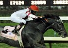 Unrivaled Belle makes her first start since winning the 2010 Breeders' Cup Ladies' Classic in the Rampart Stakes.<br><a target="blank" href="http://www.bloodhorse.com/horse-racing/photo-store?ref=http%3A%2F%2Fpictopia.com%2Fperl%2Fgal%3Fprovider_id%3D368%26ptp_photo_id%3D9267027%26ref%3Dstory">Order This Photo</a>