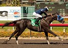 Camp Victory streaks home to win the Triple Bend.