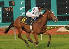 Dynamic Holiday brings a three-race winning streak into the Herecomesthebride Stakes.
