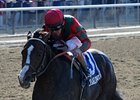 Flat Out is undefeated in four starts at Belmont Park.