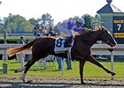 Lane's End Breeders' Futurity winner Square Eddie, is continuing to prep for his 3-year-old debut in the San Rafael Stakes.<br><a target="blank" href="http://www.bloodhorse.com/horse-racing/photo-store?ref=http%3A%2F%2Fpictopia.com%2Fperl%2Fgal%3Fprovider_id%3D368%26ptp_photo_id%3D6182741%26ref%3Dstory">Order This Photo</a>