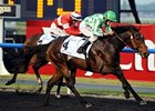 UAE Derby winner Lines of Battle<br><a target="blank" href="http://photos.bloodhorse.com/AtTheRaces-1/at-the-races-2013/27257665_QgCqdh#!i=2434326520&k=KPdb8dm">Order This Photo</a>