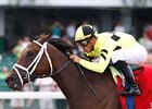 Malibu Prayer is the 6-5 favorite in the Molly Pitcher.