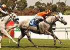 Schiaparelli stretches for the win in the Royal Heroine Mile.