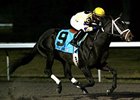 Mr. Prankster won the Turfway Prevue on Jan. 7.