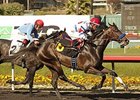 Surfcup wins the Snow Chief Stakes.