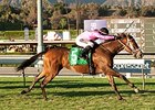 Lexie Lou comes home strong to win the Autumn Miss Stakes.