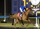 Dullahan Unplaced in Burj Nahaar Dullahan Unplaced in Burj Nahaar