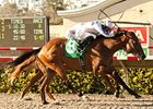 Alberts Hope wins the Best Pal Stakes.