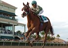 This Ones for Phil is the lone graded stakes winner in the Withers field.<br><a target="blank" href="http://www.bloodhorse.com/horse-racing/photo-store?ref=http%3A%2F%2Fpictopia.com%2Fperl%2Fgal%3Fprovider_id%3D368%26ptp_photo_id%3D7535422%26ref%3Dstory">Order This Photo</a>