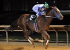 Russell Road wins the Confucius Say Stakes for his 20th career win.