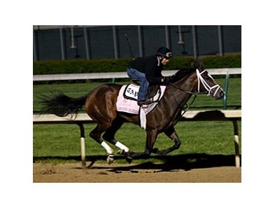 Dreaming of Julia works at Churchill Downs 4/27/2013.