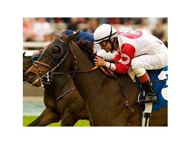 Spring House overtook Zambesi Sun to win the San Luis Obispo. <br><a target="blank" href="http://www.bloodhorse.com/horse-racing/photo-store?ref=http%3A%2F%2Fgallery.pictopia.com%2Fbloodhorse%2Fgallery%2F69713%2Fphoto%2F7794556%2F%3Fo%3D0">Order This Photo</a>