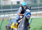 Creative Cause
<br><a target="blank" href="http://photos.bloodhorse.com/TripleCrown/2012-Triple-Crown/Works/22611108_LR3wcn#!i=1823294525&k=TzjRrC8">Order This Photo</a>
