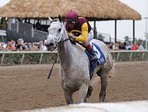 Awesome Maria Dominates Royal Delta in Sabin Awesome Maria Dominates Royal Delta in Sabin