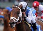 Exhi and Javier Castellano take the Ben Ali at Keeneland.<br><a target="blank" href="http://www.bloodhorse.com/horse-racing/photo-store?ref=http%3A%2F%2Fpictopia.com%2Fperl%2Fgal%3Fprovider_id%3D368%26ptp_photo_id%3D9500899%26ref%3Dstory">Order This Photo</a>
