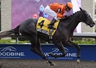 Swynford Stakes winner Bear's Future is the lone stakes winner in the Grey Stakes.