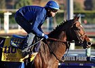 Finalists Announced, Vox Populi Voting Begins Finalists Announced, Vox Populi Voting Begins