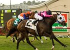 Storm Mesa powers home in the San Clemente.<br><a target="blank" href="http://www.bloodhorse.com/horse-racing/photo-store?ref=http%3A%2F%2Fpictopia.com%2Fperl%2Fgal%3Fprovider_id%3D368%26ptp_photo_id%3D5277160%26ref%3Dstory">Order This Photo</a>