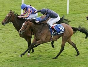 Moonstone Glistens in Darley Irish Oaks Moonstone Glistens in Darley Irish Oaks