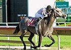 Dreaming of Liz tries the the turf for the first time in the inaugural running of the American One Thousand Guineas.
