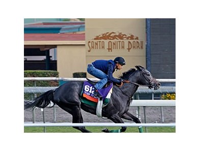 Mizdirection worked five furlongs in :57 4/5 Oct. 25 at Santa Anita Park. <br><a target="blank" href="http://photos.bloodhorse.com/BreedersCup/2013-Breeders-Cup/Breeders-Cup/32986083_QMHXWK#!i=2858836261&k=C9Tpv8n">Order This Photo</a>