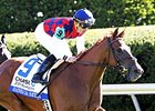 Rainha Da Bateria will carry the highweight of 121 pounds in the Santa Ysabel Stakes.