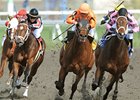 Hollywood Hit Sets Woodbine Mark in Vigil Win Hollywood Hit Sets Woodbine Mark in Vigil Win